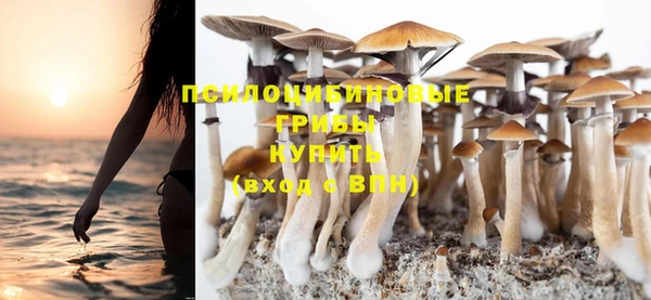 дурь Липки